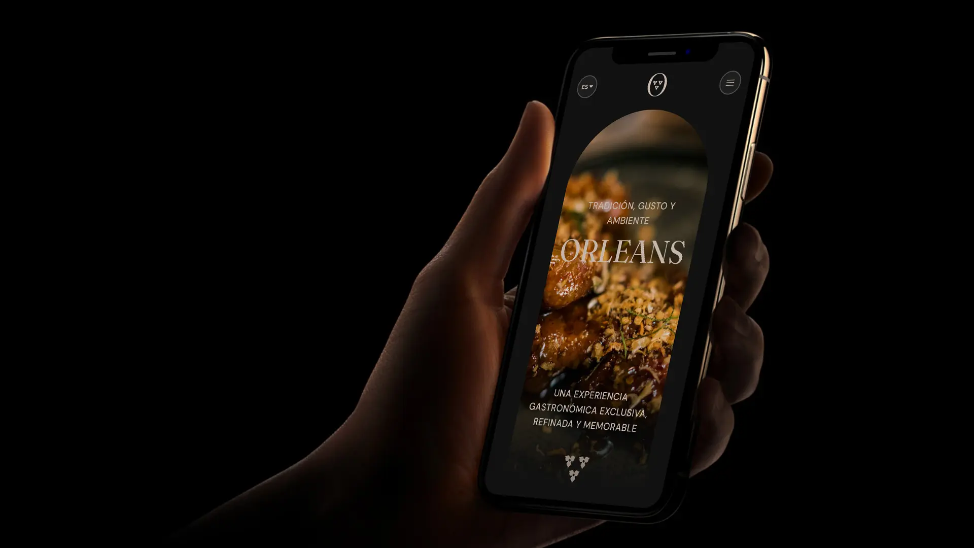 Orleans mobile homepage hero section